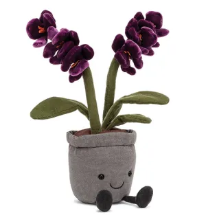 Purple Orchid Amuseable
